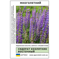 Сидерат Козлятник східний ваговий 1 кг