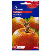Гарбуз Бамбіно 5 шт GL Seeds