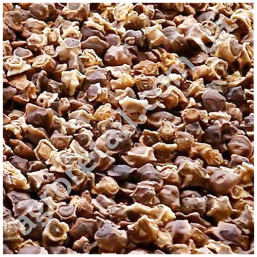 Свекла кормовая жёлтая Урсус Поли 0.5 кг Malopolska Hodowla Roslin