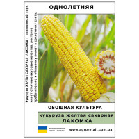 Кукурудза цукрова Ласунка (жовта) вагова 1 кг Велес