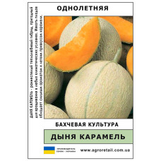 Диня Карамель вагова 0,5 кг Велес