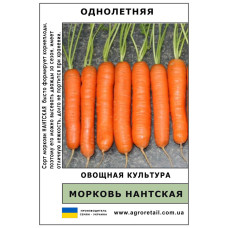 Морква Нантська вагова 0,5 кг Велес