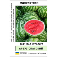 Арбуз Спасский весовой 0.5 кг Велес