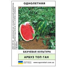 Кавун Топ Ган ваговий 0.5 кг Велес