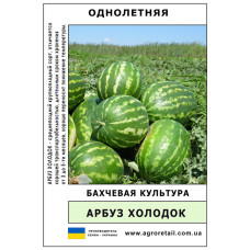Кавун Холодок ваговий 0.5 кг Велес