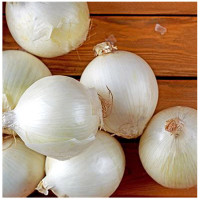 Цибуля сіянка Стардаст 10/21 0,5 кг Top onions