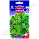 Селера Ніжна 1 г Gl Seeds