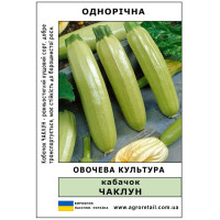 Кабачок Чаклун ваговий 0.5 кг Велес