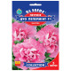 Петуния Дуо Пепперминт F1 5 гранул Gl Seeds