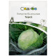 Капуста белокочанная Тюркиз 10 г Satimex