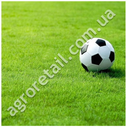 Газон Playground спортивний ваговий 1 кг DLF