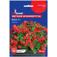 Бегонія Фея червона F1 10 шт Gl Seeds