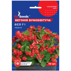 Бегонія Фея червона F1 10 шт Gl Seeds