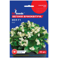 Бегонія Фея біла F1 10 шт Gl Seeds