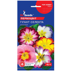 Примула Гігант Селекта 0.1 г Gl Seeds