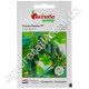 Огурец Эколь F1 10 шт Syngenta