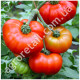Томат Канары 0.15 г Gl Seeds