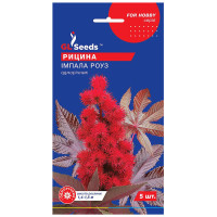 Клещевина Импала Роуз 5 шт Gl Seeds