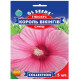 Гібіскус Король вікінгів 5 шт Gl Seeds