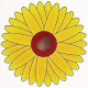 Клейова пастка від літаючих комах Соняшник