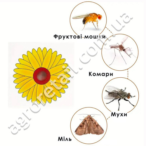 Клейова пастка від літаючих комах Соняшник
