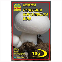 Мицелий Шампиньон королевский белый 10 г Насіння країни