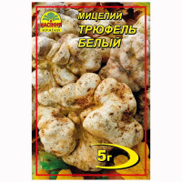 Мицелий Трюфель белый 5 г Насіння країни