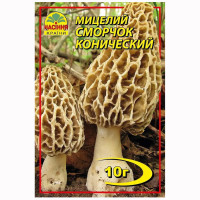 Мицелий Сморчок конический 10 г Насіння країни