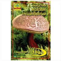 Міцелій Моховик тріщинуватий 10 г Насіння країни