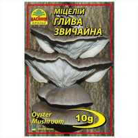 Мицелий Вешенка обыкновенная 10 г Насіння країни