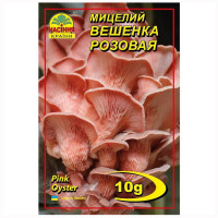 Мицелий Вешенка розовая 10 г Насіння країни