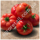 Томат Мейс F1 10 шт Yuksel Tohum