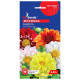 Жоржина Веселка 0.25 г Gl Seeds