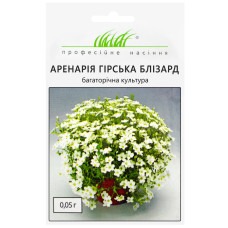 Аренария горная Близард 0.05 г Hem Zaden Професійне насіння