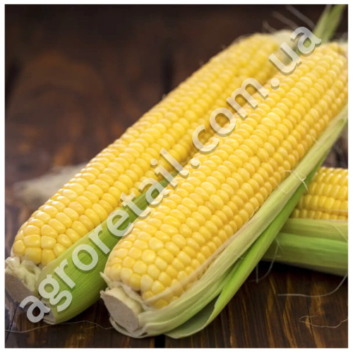 Кукуруза Форвард F1 15 шт Lark Seeds Професійне насіння