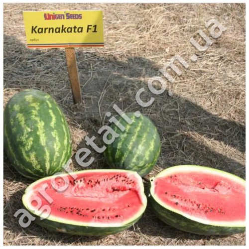 Арбуз Карнаката F1 8 шт United Genetics Професійне насіння