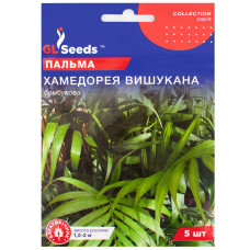 Пальма Хамедорея 5 шт Gl Seeds
