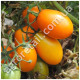 Томат Елисей 0.1 г GL Seeds