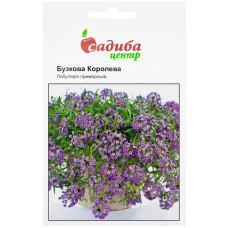 Лобулярія приморська Бузкова Королева 0.1 г Hem Zaden