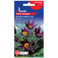 Сон трава Фиолетовый Сад 0.1 г GL Seeds