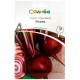 Свекла Киоджа 10 г Suba Seeds