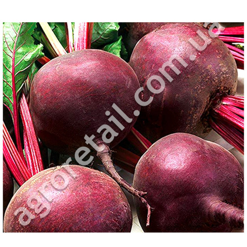 Свекла Киоджа 10 г Suba Seeds