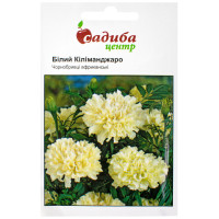 Чорнобривці Білий кіліманджаро 0.1 г Hem Zaden