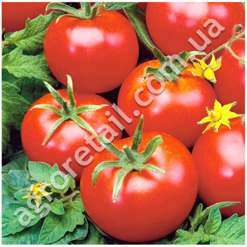 Томат Геркулес 0.1 г Gl Seeds