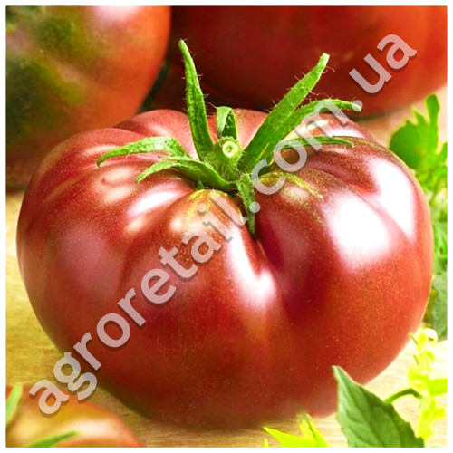 Томат Мулатка 0.1 г Gl Seeds