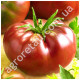 Томат Мулатка 0.1 г Gl Seeds