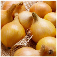 Цибуля сіянка Ібіс 8/21 0.5 кг Top onions