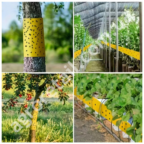 Клейова пастка від комах жовта рулон 15 см x 12 м