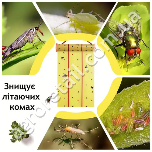 Клейова пастка від мух жовта рулон 25x400 см