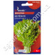 Капуста японская Мизуна зеленая 1 г Gl Seeds
